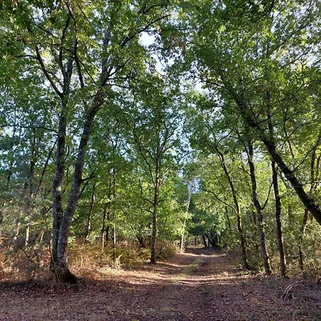 בית נופש L'eyre De -proche Arjuzanx - Jeux - Terrasse - Plancha -