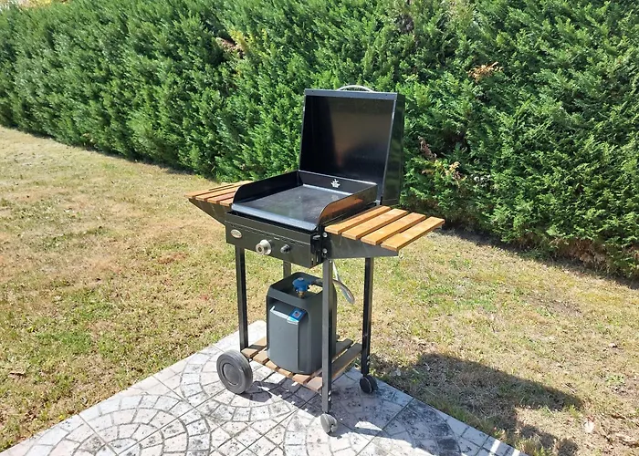 L'eyre De -proche Arjuzanx - Jeux - Terrasse - Plancha -